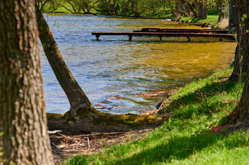 Leaning tree by clean lake water, Masuria shoreline detail, spring color, horizontal, natural light, eco theme and lifestyle blog header