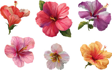 collection of flowers