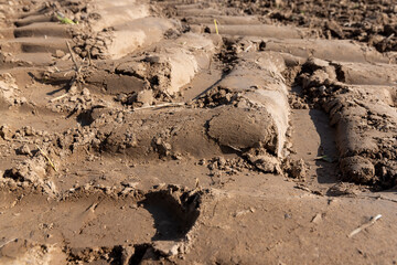 traces of a tractor on the soil of a field during tillage, soil in a field with traces of passing agricultural machinery after tillage