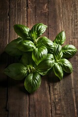 Basil