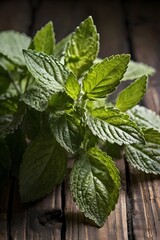 lemon balm