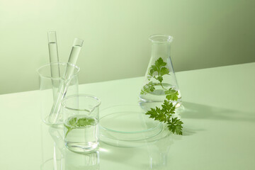 Mugwort leaves placed with glass beaker and test tubes, styled minimal for herbal skincare and natural cosmetic ingredient. Space for display product