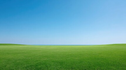 Fototapeta premium Vibrant Green Grass Field Under Clear Blue Sky with Ocean Horizon in the Background on a Sunny Day