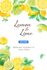 爽やかなシトラスとミントの水彩イラスト。レモンとライムの縦フレームデザイン。（ベクター。レイアウト変更可能）