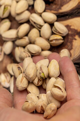 unpeeled pistachio nuts fried in salt, close up, salted pistachios after roasting with cracked shells