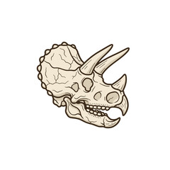 Dinosaur Head Skull