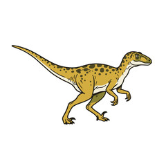 Raptor Dinosaur