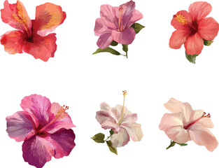 set of flowers isolated on white