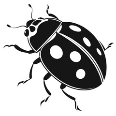 Obraz premium Black and white ladybug illustration with white spots