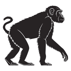 Obraz premium Stylized silhouette of a chimpanzee walking