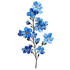  Forget Me Not eternal flower of memory