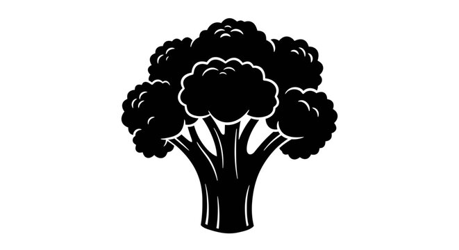 Broccoli silhouette graphic vector of a fresh vegetable for design