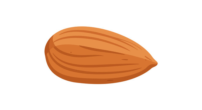 Isolated almond nut illustration on white background for healthy eating