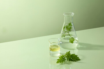 Transparent beaker and erlenmeyer flask with water beside mugwort leaves, styled for laboratory skincare ingredient and cosmetic science photo. Minimal scene, space for design