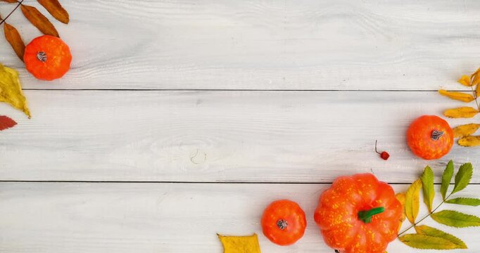 Autumn composition with pumpkins and fallen colorful leaves on white wooden background with place for text. 4K looped stop motion animation