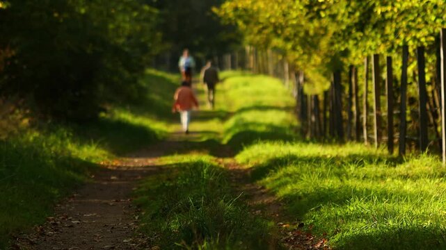 hiker in beautiful nature 4k 25fps video