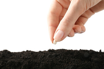 Woman putting bean into pile of fresh soil on white background, closeup