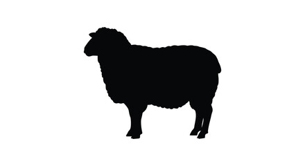 Silhouette of a standing sheep isolated on a white canvas representing rural life and agriculture silhouette