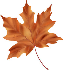 Brown Maple Leaf