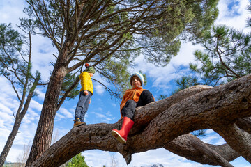 Two boys climbing large tree branch in forest