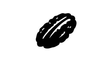 Black and white drawing of a pecan against a white background