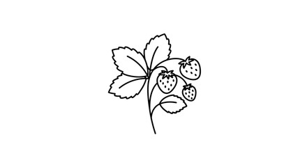 Black and white illustration of a strawberry plant with leaves and berries