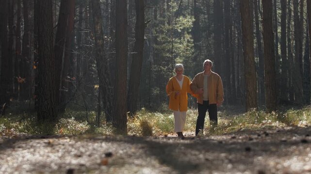 A husband and wife in their senior years are walking in the sunny forest holding hands. Happy romantic old age of grandparents.