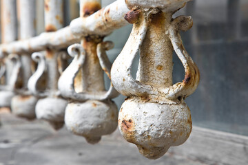 Old wrought iron grating with floral decorations