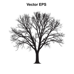 Fototapeta premium Vector art of silhouette of a bare deciduous tree