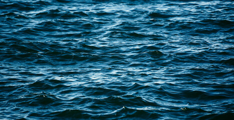 Calm blue sea surface with gentle ripples.