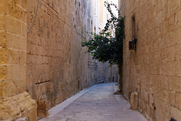 Empty, narrow, atmospheric cobblestone road between tall, limestone buildings in Mdina, SIlent City on Malta