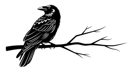 A raven perches on a bare branch, depicted in a stark black and white illustration.