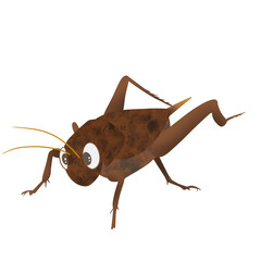 bug cricket 1