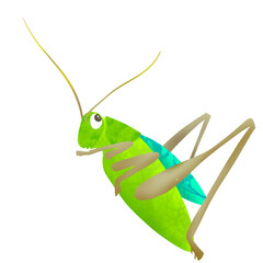 bug grasshopper 1