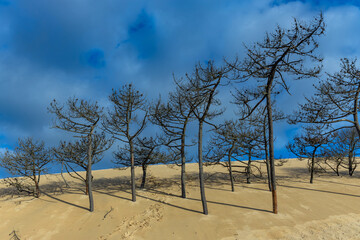 Dune of Pilat in France