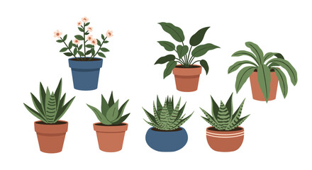 Fototapeta premium Various types of potted houseplants arranged on a white background.