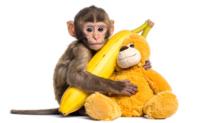 Adorable Monkey Baby Embraces Banana and Plush Toy A Delightful Scene
