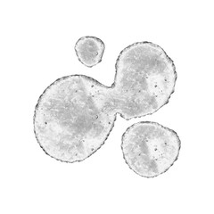 ice cube isolated on white background