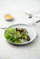 Healthy leaf salad with microgreens