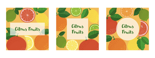Three vibrant, square-shaped illustrations featuring citrus fruits, leaves, and slices, with a text placeholder. Ideal for banners, brochures, flyers, covers, cards, invitations, and other designs.