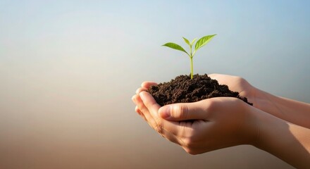 Nurturing new growth with care, a small seedling held gently in hands against a bright, hopeful sky, symbolizing sustainability, hope, and the promise of a greener future