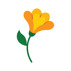 simple freesia flower vector illustration