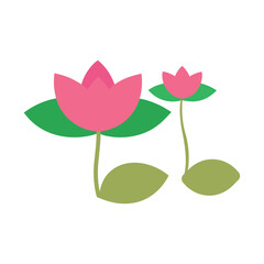 water lily pair flat vector illustration