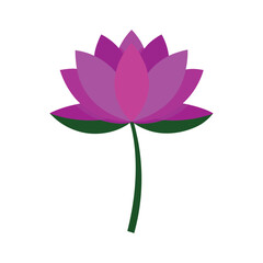 water lily clean flat vector illustration