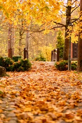 Selbstklebende Fototapeten Orange Autumn nature landscape with yellow maple leaves, footpath and bridge in the park. Fall season background for travel, lifestyle, and seasonal design  © IlonaAutukaite