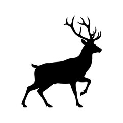 A silhouette red deer stag with antlers poised in a walking.