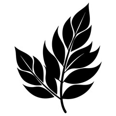black and white leaves