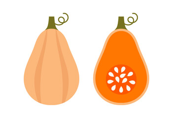 Butternut squash pumpkin icon. Cut pumpkin with orange pulp and white seeds inside. Design element on white background. Vector illustration.