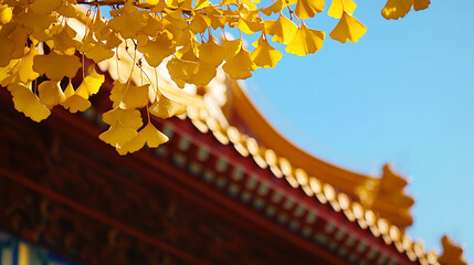 Autumn foliage over a historic building: A beautiful shot of golden ginkgo leaves against traditional architecture and a clear blue sky.