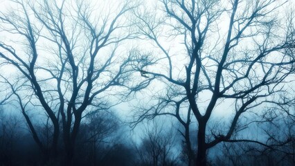 Ethereal Winter Forest Scene - Bare Trees Silhouetted Against Misty Sky.